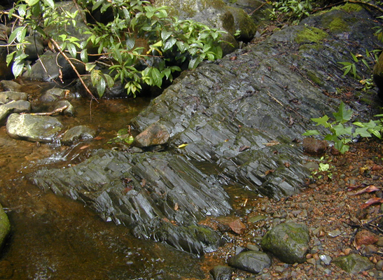 basalt dike cut by stream