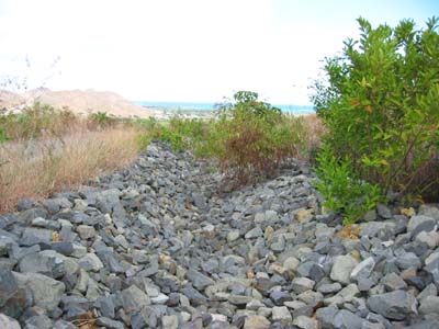 Landfill swale (photo by Bob Bourke)