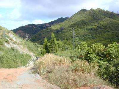 Looking towards Ulumawao from the saddle at the upper end of Kapa`a Valley (photo by E. Guinther)