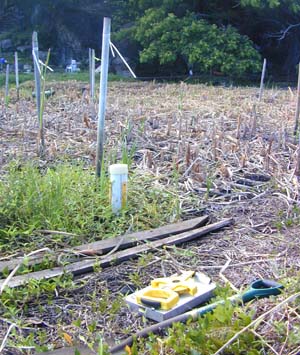 PVC Well B1 at Na Pohaku o Hauwahine